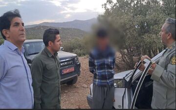 بلوط‌های زاگرس بی‌دفاع نیستند؛ پایان کار باند قطع درختان در کرمانشاه