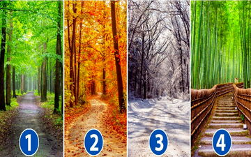 می‌خوای بهت بگم دارای چه شخصیتی هستی؟ یک مسیر رو برای پیاده روی انتخاب کن تا بهت بگم!