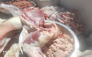 کشف ۵۰۰ کیلوگرم گوشت کشتار غیرمجاز در کرمانشاه     