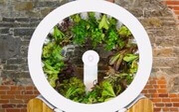 با دستگاه جدید ناسا در خانه برای خودتان سبزی بکارید!