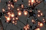 ابداع نورون جدید آزمایشگاهی که تنها با ۰.۱ ولت برق کار می‌کند