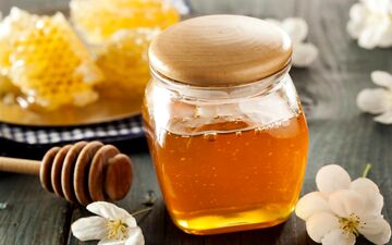 چه نوع عسلی برای بهبود و درمان زخم استفاده کنیم؟ + لیست قیمت انواع عسل درمانی