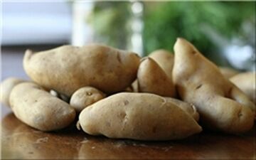  کاهش 4 هزار هکتاری سطح زیرکشت سیب زمینی 