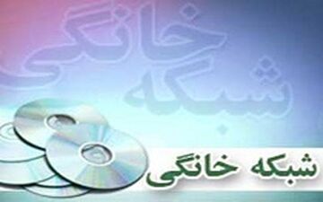 12 فیلم به شبکه نمایش خانگی می آید 