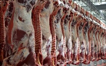
کشف ۱۵۰۰ کیلو گوشت اسب در کارگاه قطعه‌بندی فرآورده‌های دامی اهواز
