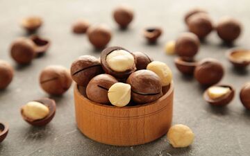 خواص فندق برای مردان: افزایش تستوسترون و بهبود سلامت