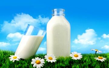 شیر و آفتاب را فراموش نکنید