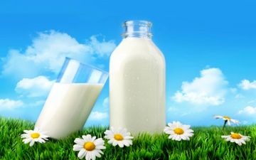شیر و آفتاب را فراموش نکنید