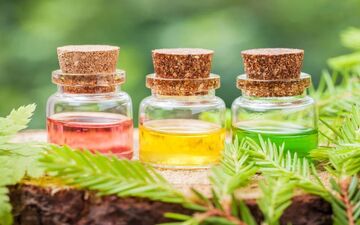 با ۷ روغن گیاهی آشنا شوید که به زیبایی هر چه بیشتر چهره و اندام کمک می کنند