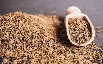 با پرخاصیت ترین خوراکی ریزه میزه آشنا شوید