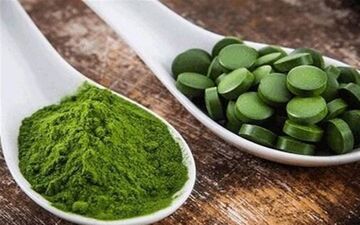 خطرات مصرف جلبک اسپیرولینا/ عوارض ناشناخته بر مادران باردار