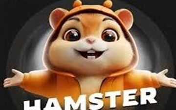 بازار داغ کلاهبرداری با همستر 

