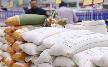  ممنوعیت واردات برنج در فصل برداشت غیرقانونی اعلام شد 