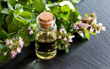  روغن پونه‌کوهی مناسب چه افرادی است؟