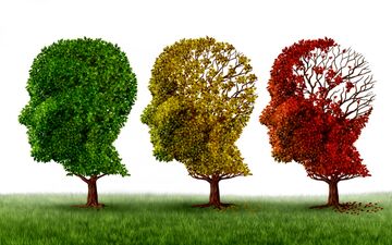 روش‌های علمی برای کاهش زوال عقل