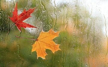باران شدید پس از هوای آفتابی در گیلان