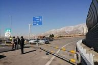 احشام جاده را بستند! مسدودی ۲۴ ساعته جاده چالوس از دو سمت برای عبور دام‌ها