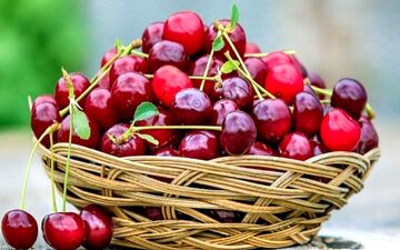  این میوه را حتما شب ها بخورید