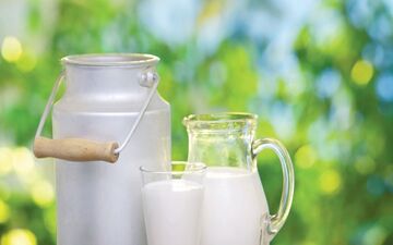 شیر کم چرب بخوریم یا پر چرب