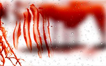 نزاع دسته جمعی در کوهرنگ خونین شد!