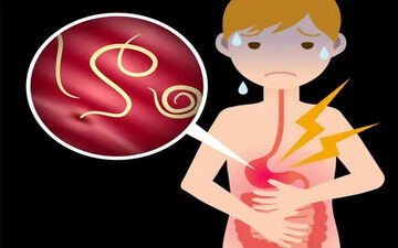 انگل‌های پنهان در بدن؛ کرم‌های گرد چگونه سلامت انسان را به خطر می‌اندازند؟