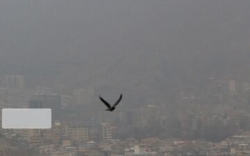 عامل آلودگی هوای ساوه از شهر صنعتی است