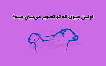 تست شخصیت: بگو توی تصویر، اول چی دیدی تا بهت بگم جسوری یا محتاط!!

