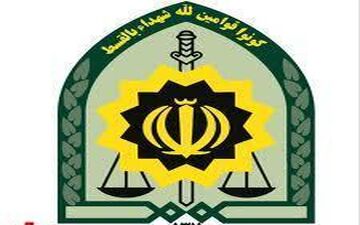 عامل تیراندازی به کاندیدای شورای شهر دستگیر شد