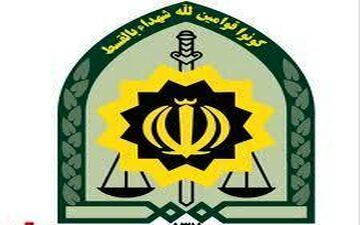 عامل تیراندازی به کاندیدای شورای شهر دستگیر شد