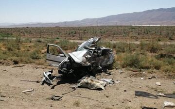 یکی از اساتید برجسته دانشگاه در تصادف جان باخت