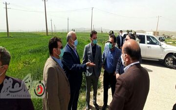 بازدید استاندار کرمانشاه و هیات همراه از پروژه گلخانه ۲۴ هکتاری تپه داراب خانه دشت ذهاب/ به روایت تصویر