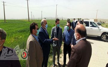 بازدید استاندار کرمانشاه و هیات همراه از پروژه گلخانه ۲۴ هکتاری تپه داراب خانه دشت ذهاب/ به روایت تصویر