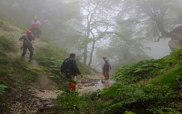 مفقود شدن گردشگران در جنگل نور 

