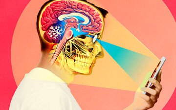اثرات پایدار پورن بر مغز