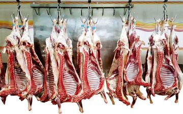 جدیدترین نرخ گوشت قرمز در بازار امروز ۲۰ شهریور ۱۴۰۴