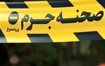 پیرزن تهرانی قربانی اعتماد کور به مستخدم جوان شد