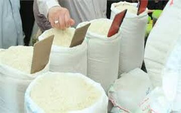 کاهش ۵ درصدی واردات برنج در سال جاری
