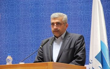  کشت برنج غیر از استان‌های شمالی ممنوع شد