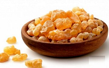 واقعا کندر، هوش و حافظه را زیاد می‌کند؟/ شرایط مصرف کندر از نظر طب سنتی