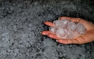 نابود شدن مزارع ارومیه با گلوله های شیشه ای + فیلم