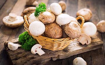 علائم اولیه مسمومیت ناشی از مصرف قارچ سمی را بشناسید