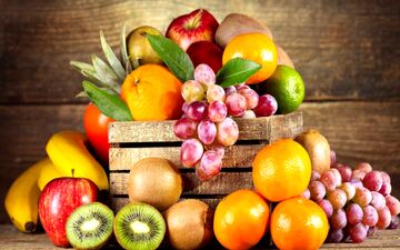 آخرین وضعیت عرضه میوه‌های خارجی 