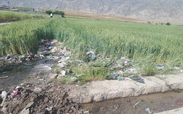 رهاسازی زباله های شهری درسرابله ونابودی مزارع کشاورزی/پای دردل نماینده کشاورزان/گزارش تصویری