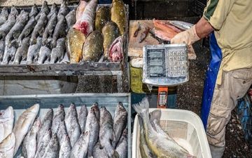 ماهی برای کودکان/ از تقویت مغز تا خطرات پنهان