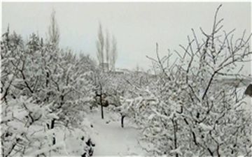 کاهش محسوس دما در کشور از فردا