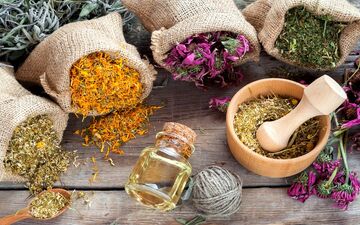 یک داروی جدید گیاهی برای درمان کرونا 