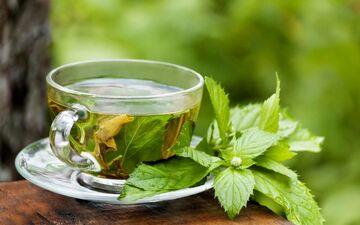 خواص چای نعناع| چای نعنا چگونه باعث لاغری افراد می‌شود؟