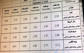 شرایط متفاوت سپرده‌گذاری ارزی/ سود دلار هم منحرف شد