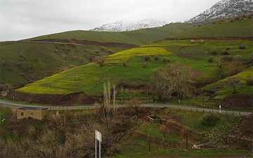 بانه، قلب تپنده یک صنعت 400 ساله