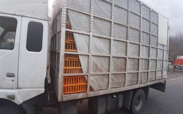 ۲۱ دستگاه کامیون حامل مرغ فاقد مجوز توقیف شد
